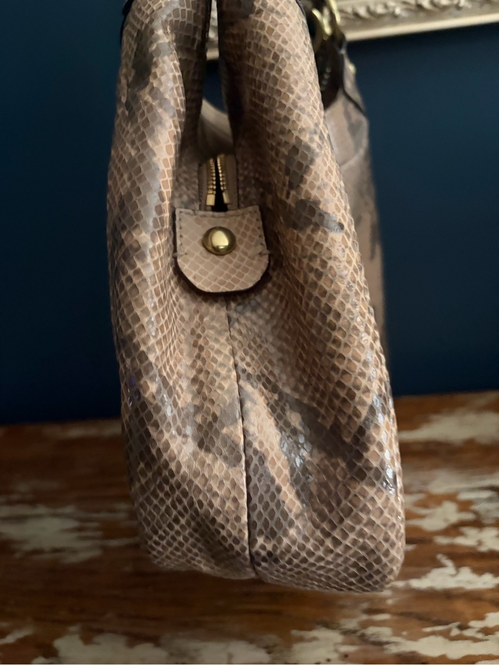 Coach Python Embossed Hobo Bag - Picture 4 of 11